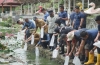 DKP Prov Sulbar Sudah Membagi 1,5 Juta Bibit Ikan Nila Kepada Warga Sulbar
