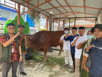 L’aide au bétail de Jokowi arrive à Mateng et est remise à la direction de la grande mosquée Nurul Hidayah