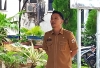 Dinas ESDM Sulbar Tegaskan Pentingnya IUPTLS : Terbitkan Surat Teguran untuk Pemilik Genset