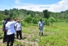 Dorong Kemandirian Pangan, Siapkan Lahan Menuju Sulbar Merdeka Pangan