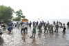 Dalam Rangka HUT RI, PJ Bahtiar bersama Forkopimda dan Masyarakat Tanam 20 Ribu Mangrove di Pantai Ampallas