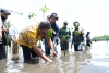 Semua Pihak Terlibat Sepekan Menanam Mangrove, PJ Bahtiar, Terima Kasih dan Ini Perlu Berkelanjutan