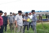 Sepulang Dari Bulukumba, Pj Bahtiar Kunjungi Perkebunan Induk Hortukultura Batupanga Polman