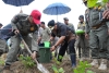 Manfaatkan Lahan Kosong, Pj Bahtiar Tanam Pisang di Halaman Pemprov Sulbar