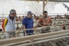 Dinas Peternakan dan Keswan  Segera Terbentuk, Peternak Bersyukur dan Harap Pembinaan dari Pemerintah