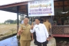 Dampingi Pj. Gubernur Bahtiar Kunjungi Rumah Baca di Desa Tondok Bakaru Mamasa, Kadinkes Sulbar : Pentingnya Peran Literasi dalam Kesehatan Masyarakat