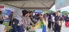 Kolaborasi Pemerintah Sulbar dan Kepolisian Daerah Sulbar Gelar Gerakan Pangan Murah di Car Free Day Mamuju