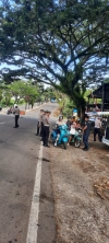 UPTD PPRD Mamuju Gencarkan Sweeping bersama Ditlantas Polda Sulbar, 9 Kendaraan Terjaring : Pajak Rp 9,4 Juta Terkumpul