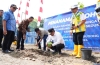 Pemprov Sulbar Lakukan Penanaman Perdana Pisang Cavendish di Mateng