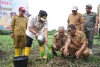 Tanam Bibit Sukun di Pasangkayu, Pj Gubernur Sulbar, Bahtiar: Ini Komoditi Tambahan Kita Dorong Jadi Kebanggaan Indonesia