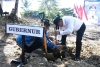 Momen Harkitnas, Pj Bahtiar dan Forkopimda Sulbar Menanam Sukun