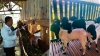 Bantuan Kambing PE di Sulbar Tunjukkan Hasil Menggembirakan, 6 Ekor Telah Melahirkan