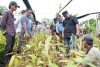 Kunjungi Pabrik Smelter di Bantaeng, OPD Pemprov Terpacu Kejar  Investor Ajak ke Sulbar