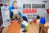 Dinkes Sulbar Buka Layanan Pemeriksaan Kesehatan dan Donor Darah di Pesta Rakyat HMI