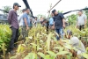 Ke Lokasi Pembibitan, Pj Bahtiar Akan Membuka Pusat Pembibitan Hortikultura di Sulbar