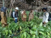 Plt. Kadisbun: Kami Pastikan Petani Terima Benih Unggul yang Terseleksi dan Tersertifikasi