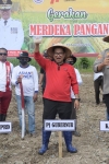 Hadapi Ancaman Krisis, Pj Gubernur Sulbar Canangkan Gerakan Merdeka Pangan