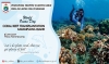 Dukung Komitmen Pemerintah terhadap Perlindungan Laut, DKP Sulbar Akan Laksanakan Transplantasi Terumbu Karang di Pulau Karampuang