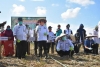 Gubernur Sulbar Lakukan Penanaman Perdana Kedelai di  Sumberjo