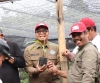 Pemprov Sulbar Genjot Pengembangan Pisang Cavendish dan Pisang Kepok