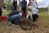 Pj Gubernur Bahtiar Lakukan Peletakan Batu Pertama Pembangunan Kantor Baznas Sulbar
